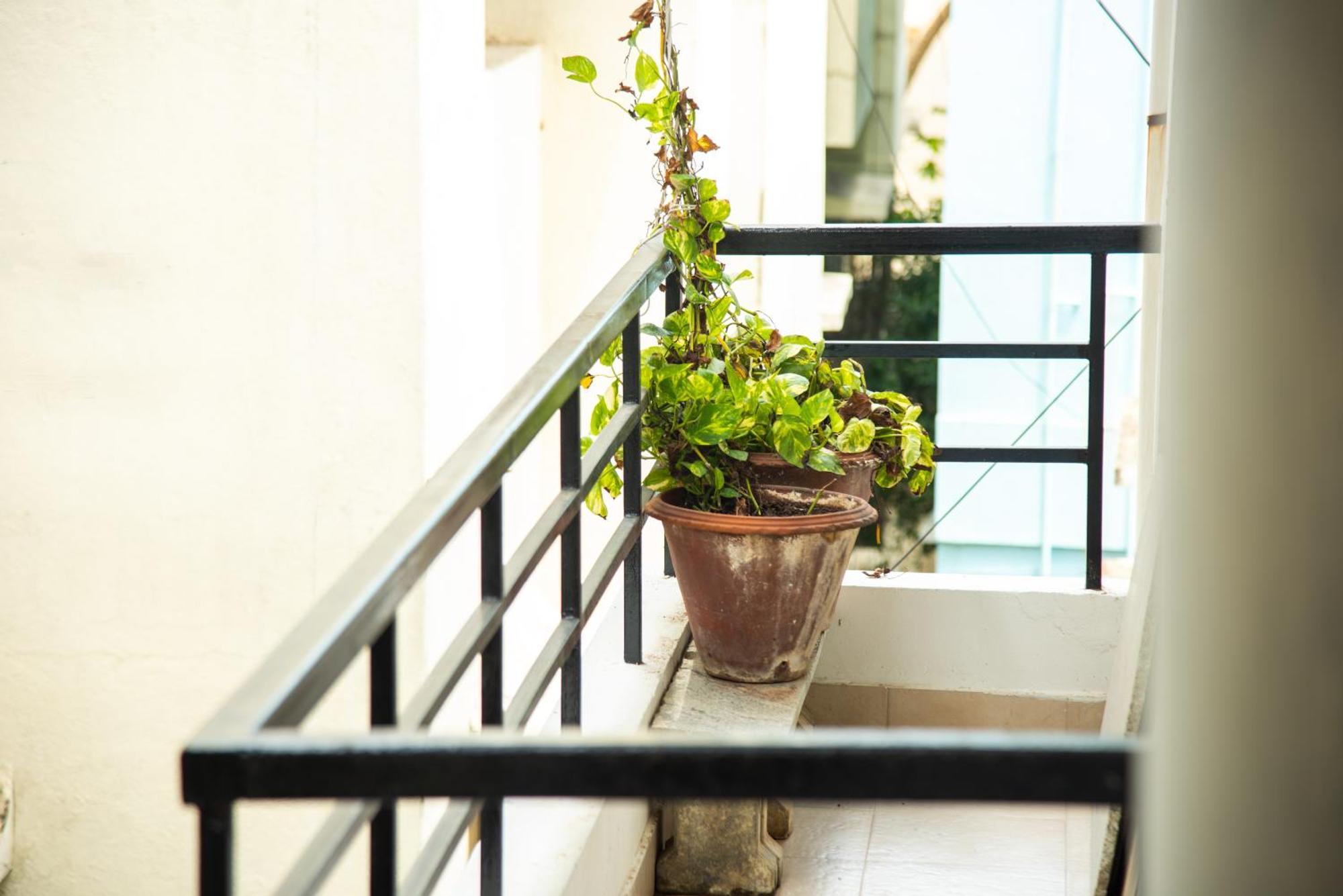 Mama Rose Homestay In Madipakkam Ченнаи Экстерьер фото